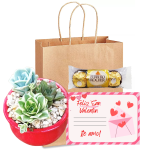 Pack_te_amo_con_suculentas