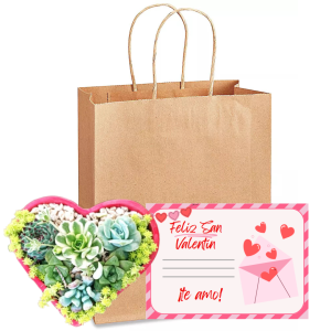 Suculentas en maceta de corazón