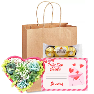 Mix de suculentas y chocolates